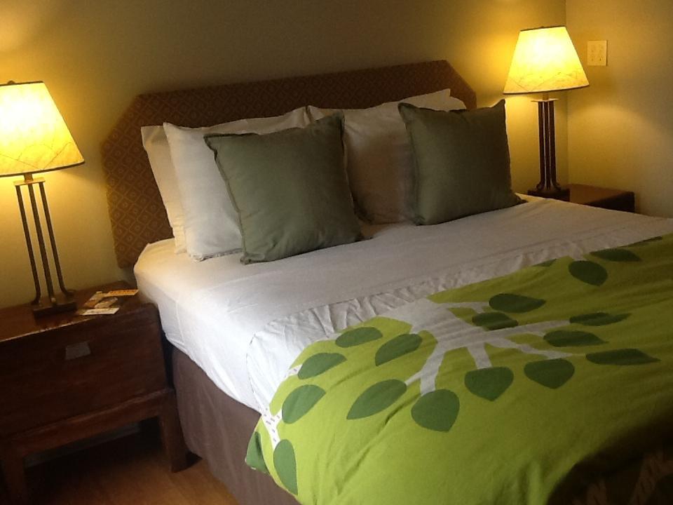 Zenyard Guest House 凤凰城 客房 照片